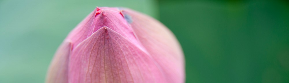 Into the Middle Kingdom