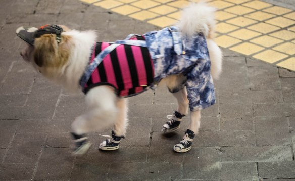 Dressed up in Guangzhou. Seriously??