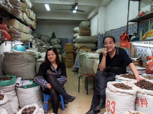 Dried mushroom shop