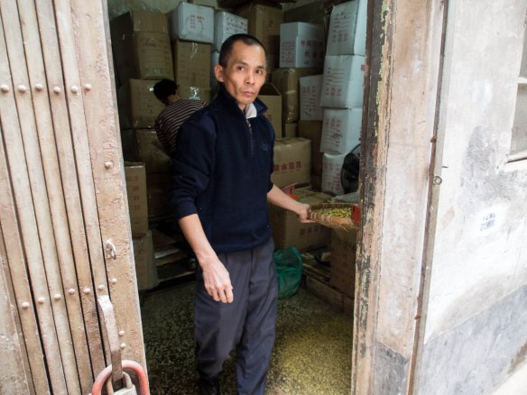 Preparing dried chrysanthemum flowers for tea