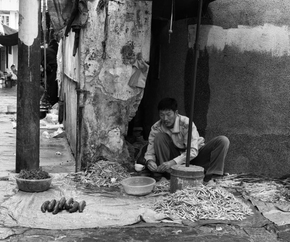 Vegetable hawker