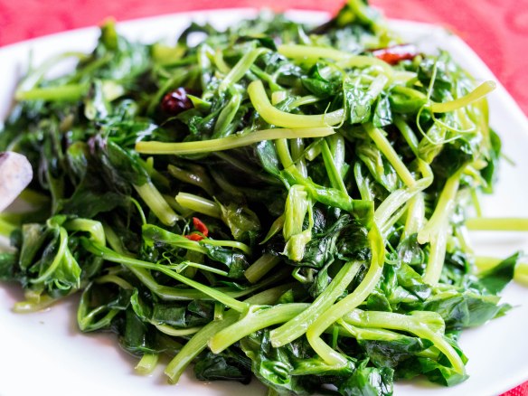 A type of bean sprout?